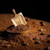 pharmanex-tr90-vshake-protein-chocolate