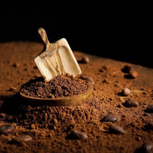 pharmanex-tr90-vshake-protein-chocolate