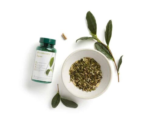 Nuskin Pharmanex Tegreen