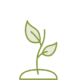 Pharmanex Eye Formula mit Lutein