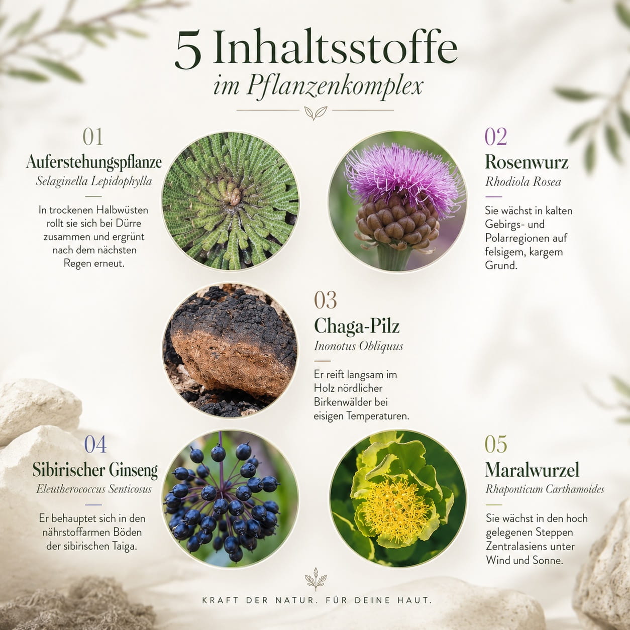 Nutricentials Pumps Inhaltstoffe