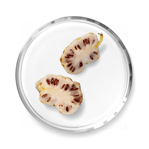 Nuskin Blemish Serum mit Noni Extrakt