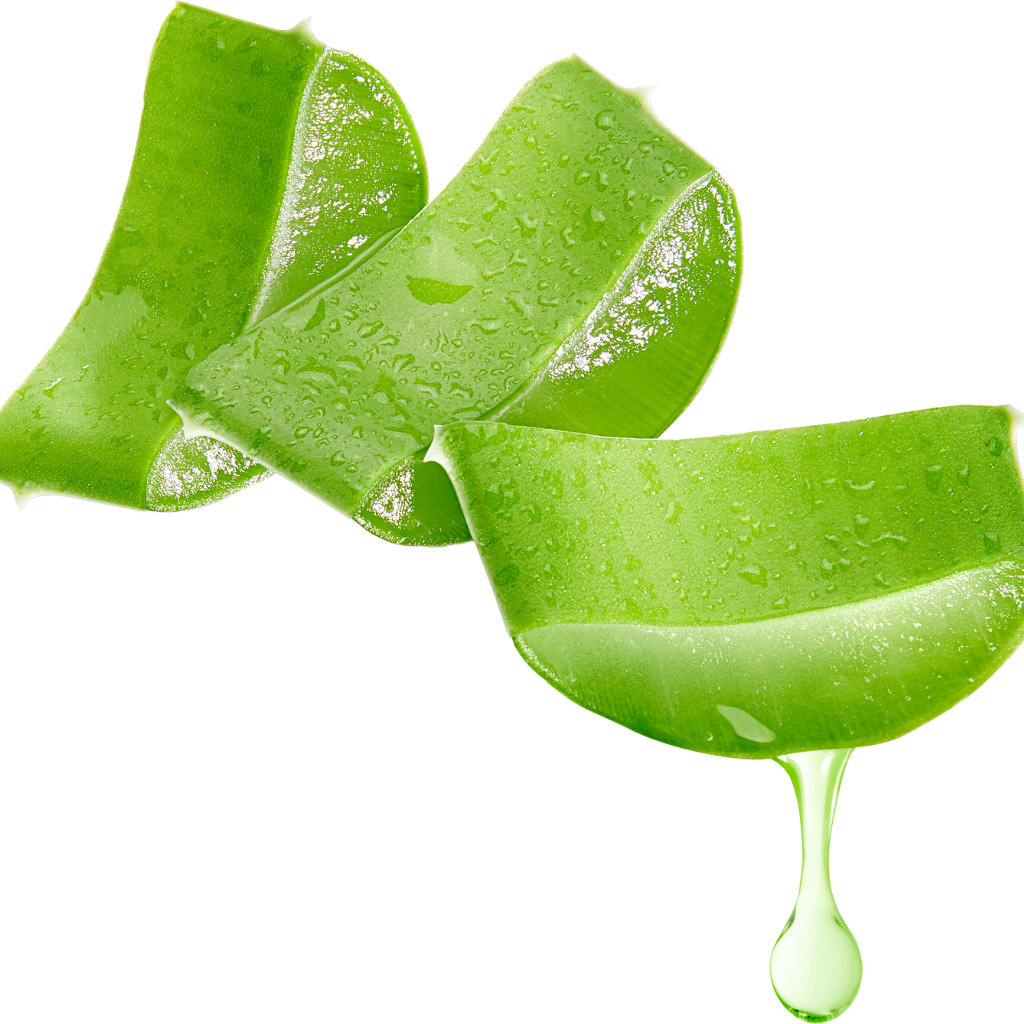 Natura Vitalis Insta Face mit Aloe Vera