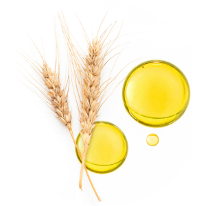 Nu-Skin-Collagen-Inhaltsstoffe-mit Weizenkeimextrakt
